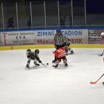 Hokej: Vimperský turnaj ročníku 2010 vyhrál Český Krumlov