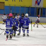 Hokej: Vimperský turnaj ročníku 2010 vyhrál Český Krumlov