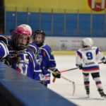 Hokej: Vimperský turnaj ročníku 2010 vyhrál Český Krumlov