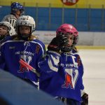 Hokej: Vimperský turnaj ročníku 2010 vyhrál Český Krumlov