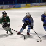 Hokej: Vimperský turnaj ročníku 2010 vyhrál Český Krumlov
