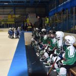 Hokej: Vimperský turnaj ročníku 2010 vyhrál Český Krumlov