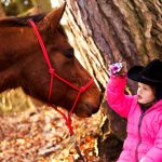Mehelník v obležení turistů! Na vrchol jich zamířily stovky