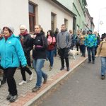 Pochod Okolo Bernartic letos vedl do Olešné