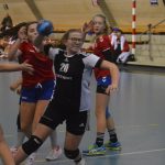 Domácí prostředí strakonické házenkářky využily maximálně