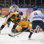 První třetina rozhodla. Božetice ve Vimperku utrpěly debakl