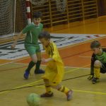Fotbalová přípravka Volenic bez ztráty obhájila prvenství v halovém turnaji ES
