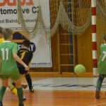 Fotbalová přípravka Volenic bez ztráty obhájila prvenství v halovém turnaji ES