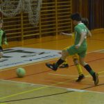 Fotbalová přípravka Volenic bez ztráty obhájila prvenství v halovém turnaji ES