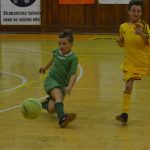 Fotbalová přípravka Volenic bez ztráty obhájila prvenství v halovém turnaji ES