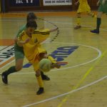 Fotbalová přípravka Volenic bez ztráty obhájila prvenství v halovém turnaji ES
