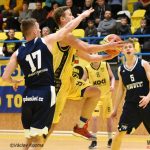Sokolské derby připomínalo hru kočky s myší. O víkendu se v sršní aréně představí možná budoucí elita českého basketbalu!