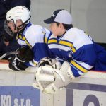 Krajská reprezentace se sešla v Milevsku, domácí Adam Špánek vstřelil dvě branky