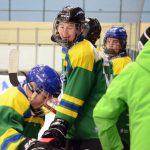 Krajská reprezentace se sešla v Milevsku, domácí Adam Špánek vstřelil dvě branky