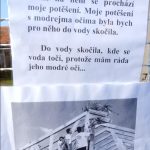 Plánskému masopustu opět přálo počasí