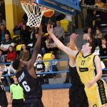 U Otavy se hraje špičkový mezinárodní mládežnický basketbal. A písečtí Sršni hrají první housle