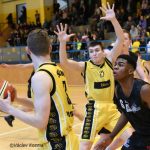 U Otavy se hraje špičkový mezinárodní mládežnický basketbal. A písečtí Sršni hrají první housle