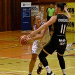 Zlom nastal v polovině třetí části, do té doby strakonické basketbalistky hrály skvěle