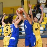Áčko Sršňů prohrálo v Olomouci, béčko doma stoprocentní