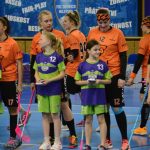 Zaplněná tribuna sportovní haly aplaudovala drtivé výhře Tigers