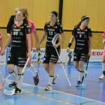 Zaplněná tribuna sportovní haly aplaudovala drtivé výhře Tigers