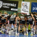 Zaplněná tribuna sportovní haly aplaudovala drtivé výhře Tigers