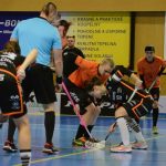 Zaplněná tribuna sportovní haly aplaudovala drtivé výhře Tigers