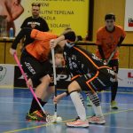 Zaplněná tribuna sportovní haly aplaudovala drtivé výhře Tigers