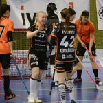 Zaplněná tribuna sportovní haly aplaudovala drtivé výhře Tigers