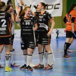 Zaplněná tribuna sportovní haly aplaudovala drtivé výhře Tigers