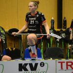 Zaplněná tribuna sportovní haly aplaudovala drtivé výhře Tigers