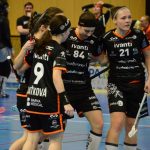 Zaplněná tribuna sportovní haly aplaudovala drtivé výhře Tigers