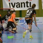Zaplněná tribuna sportovní haly aplaudovala drtivé výhře Tigers