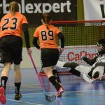 Zaplněná tribuna sportovní haly aplaudovala drtivé výhře Tigers