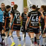 Zaplněná tribuna sportovní haly aplaudovala drtivé výhře Tigers