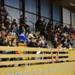 Zaplněná tribuna sportovní haly aplaudovala drtivé výhře Tigers