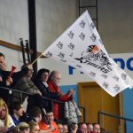 Zaplněná tribuna sportovní haly aplaudovala drtivé výhře Tigers