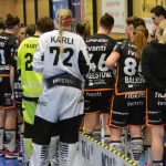 Zaplněná tribuna sportovní haly aplaudovala drtivé výhře Tigers