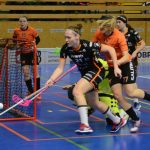 Zaplněná tribuna sportovní haly aplaudovala drtivé výhře Tigers