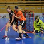 Zaplněná tribuna sportovní haly aplaudovala drtivé výhře Tigers