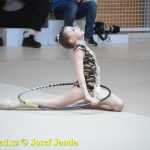 Druhý díl Jihočeské ligy v moderní gymnastice uspořádal GSK Tábor
