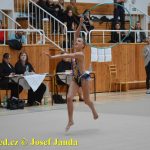 Druhý díl Jihočeské ligy v moderní gymnastice uspořádal GSK Tábor