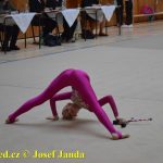 Druhý díl Jihočeské ligy v moderní gymnastice uspořádal GSK Tábor