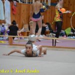 Druhý díl Jihočeské ligy v moderní gymnastice uspořádal GSK Tábor