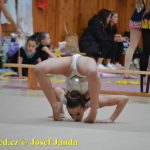 Druhý díl Jihočeské ligy v moderní gymnastice uspořádal GSK Tábor