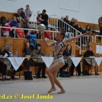 Druhý díl Jihočeské ligy v moderní gymnastice uspořádal GSK Tábor