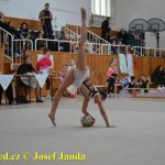 Druhý díl Jihočeské ligy v moderní gymnastice uspořádal GSK Tábor
