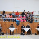 Druhý díl Jihočeské ligy v moderní gymnastice uspořádal GSK Tábor