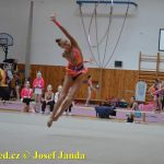 Druhý díl Jihočeské ligy v moderní gymnastice uspořádal GSK Tábor