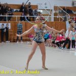 Druhý díl Jihočeské ligy v moderní gymnastice uspořádal GSK Tábor
